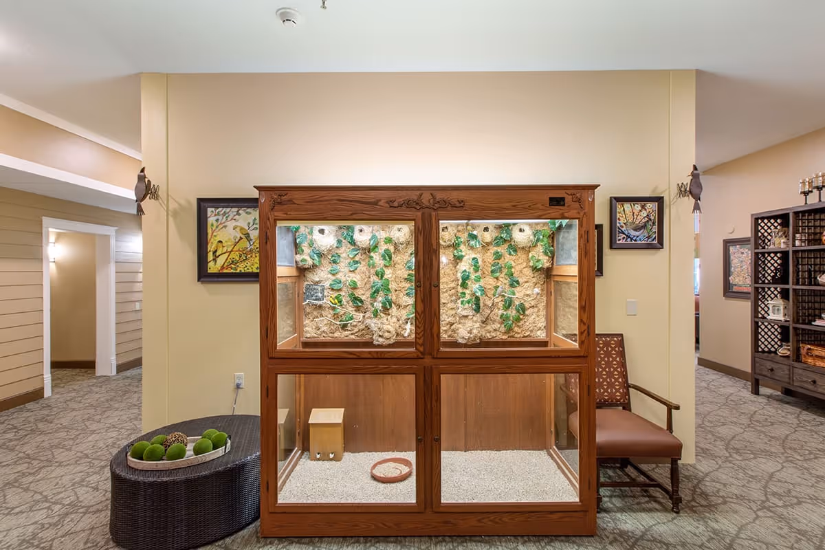 An interior common area in Eagle Crest Assisted Living featuring a large wooden enclosure with glass panels housing a naturalistic display with plants and nests. The room has beige walls, carpeted floors, framed artwork on the walls, a brown cushioned chair, and a round wicker table with decorative green spheres.