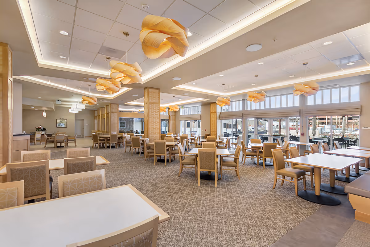 A spacious dining room with multiple tables and chairs arranged neatly. The room features large windows allowing natural light to fill the space, modern pendant lights with a unique twisted design hanging from the ceiling, and a patterned carpet covering the floor. The walls and furniture are in neutral tones, creating a warm and inviting atmosphere.