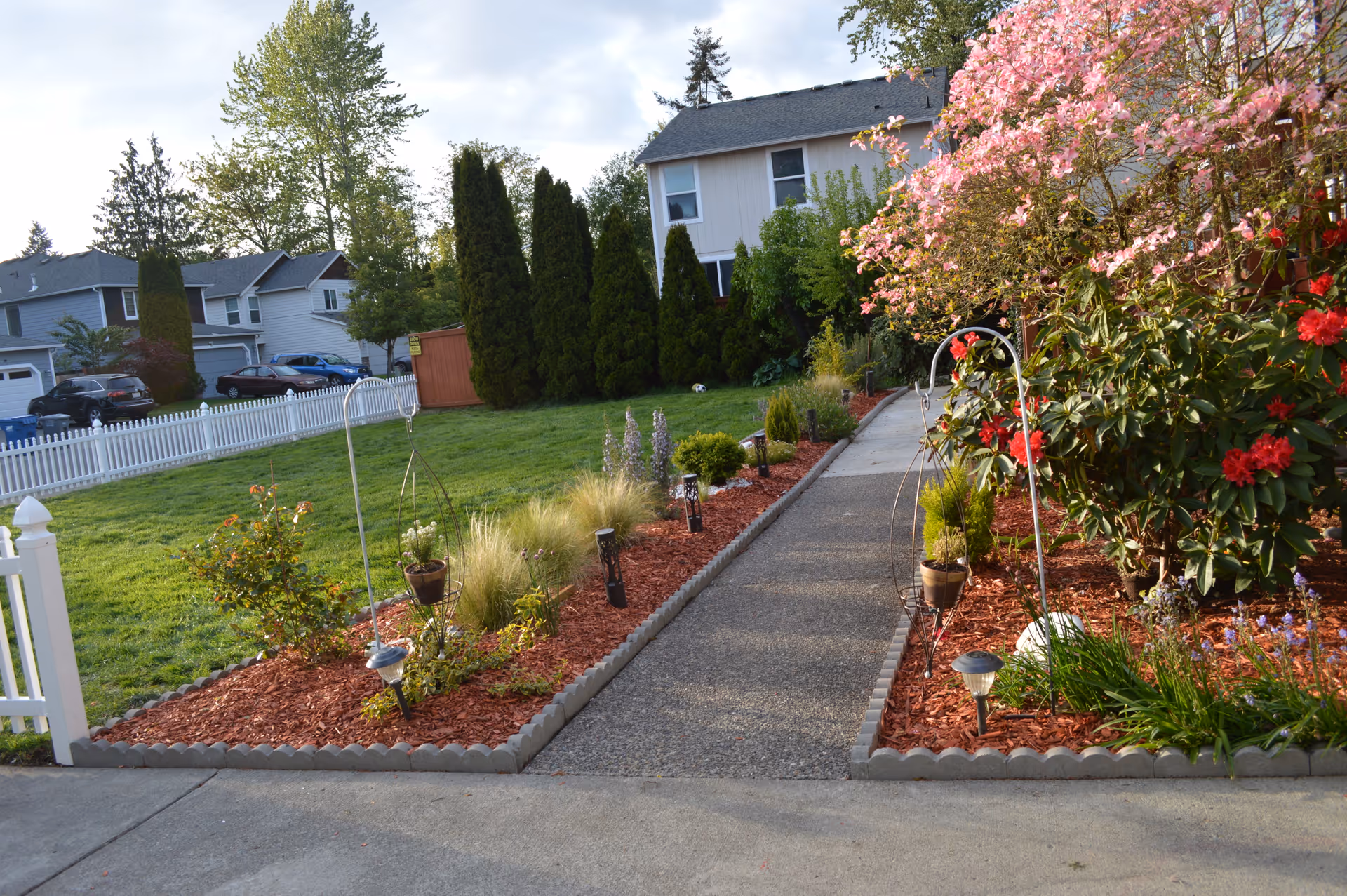 A paved front walkway bordered by mulched flower beds and blooming shrubs leading to a two-story house with a white picket fence and neighboring homes.