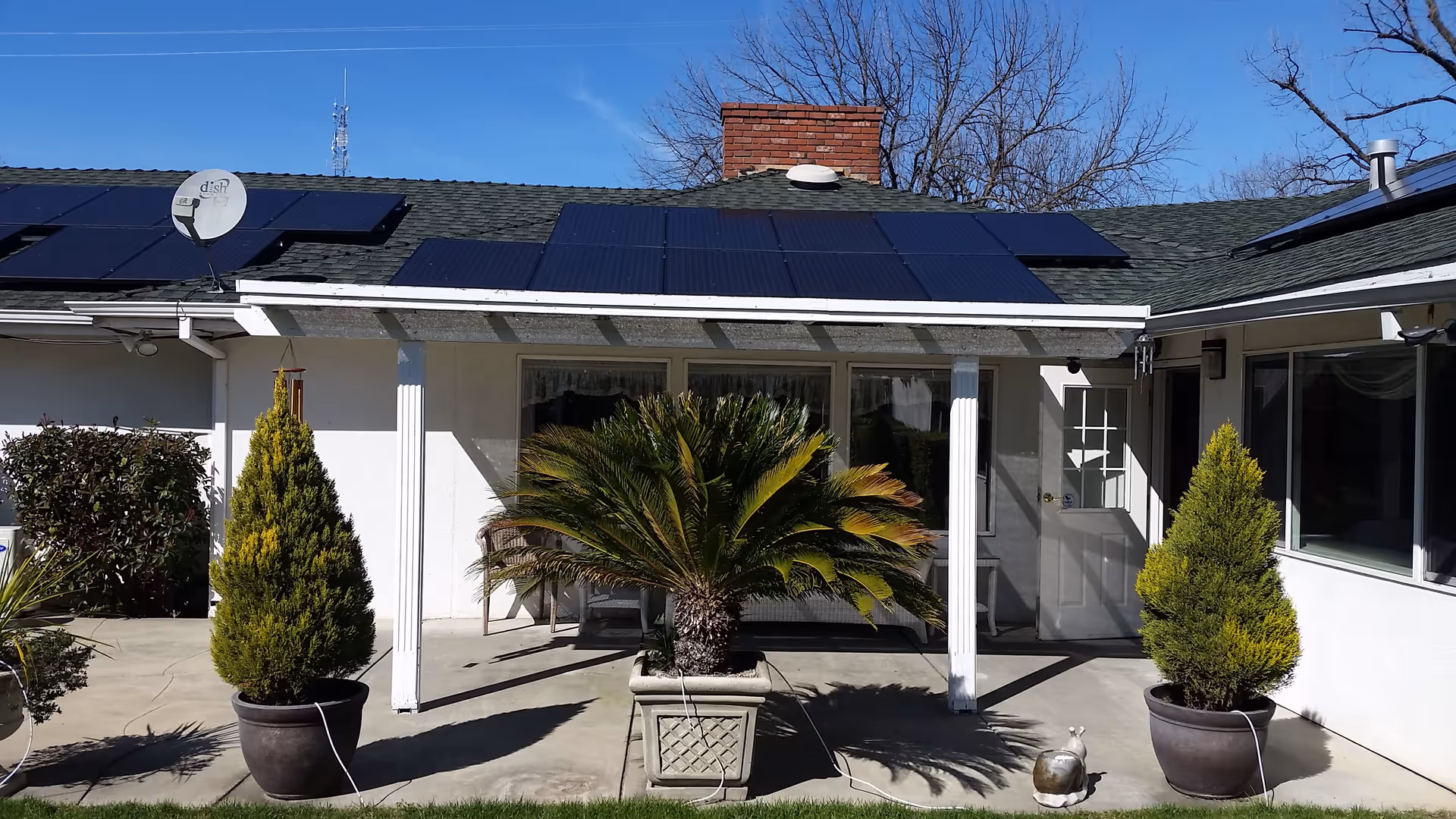 Outdoor patio area of a single-story building with solar panels on the roof, a brick chimney, and a covered porch supported by white columns. There are three potted plants on the concrete patio, two tall conical shrubs in dark pots on either side and a large palm-like plant in a square decorative planter in the center. A small snail garden ornament is on the ground near the right potted shrub. The sky is clear and blue, and leafless trees are visible in the background.