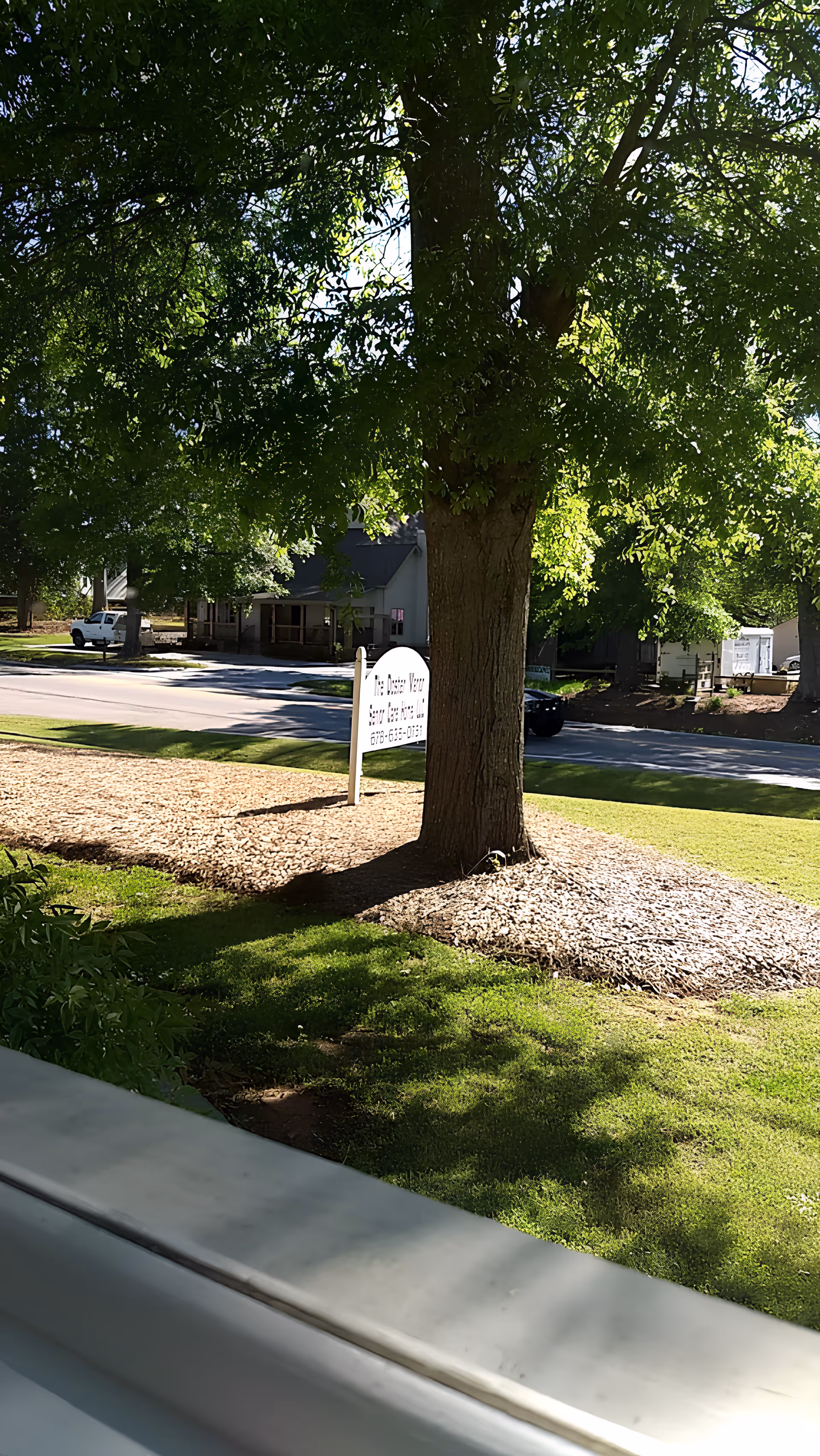 Large shade tree on a mulched front lawn beside a street with a white sign and houses across the road.