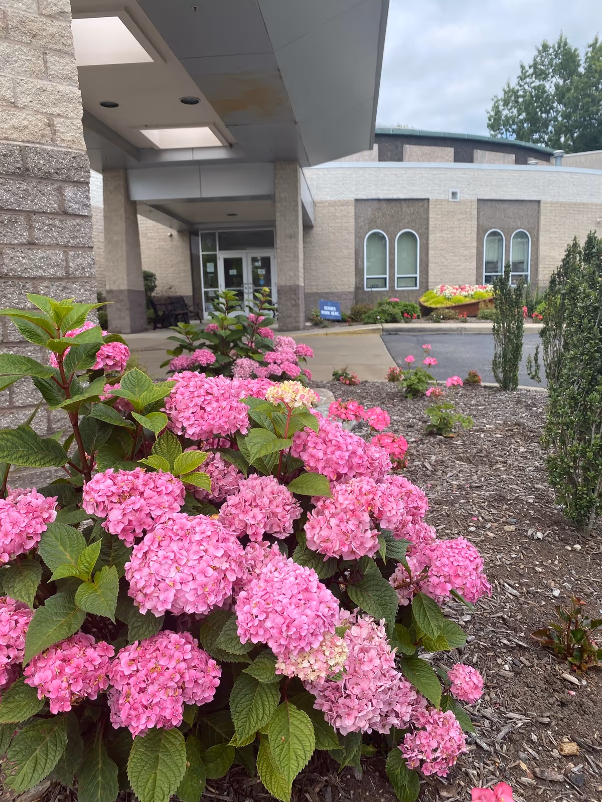 A view of flowering pink hydrangeas in front of the Light of Hearts Villa entrance.