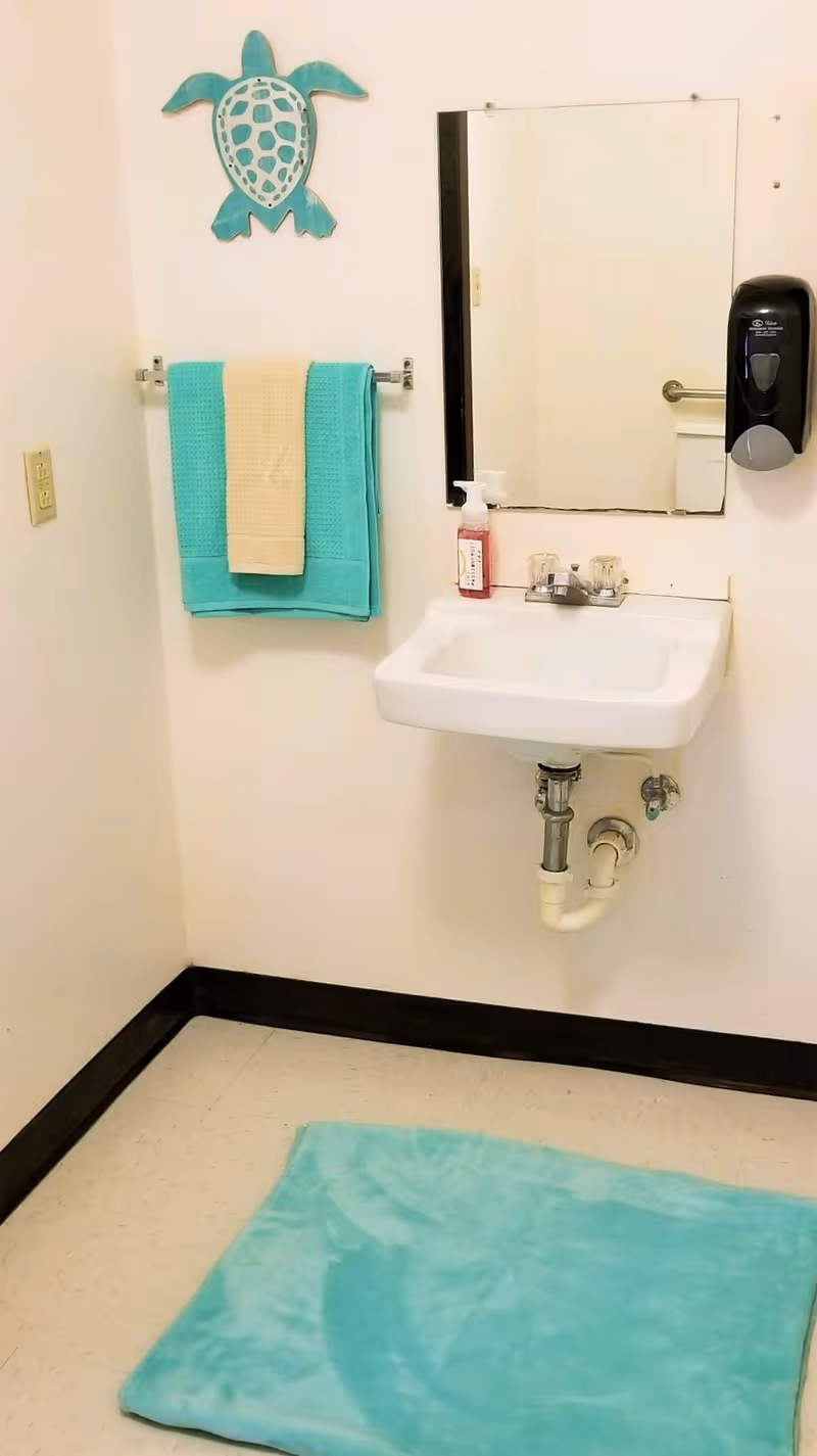 A small bathroom corner with a white wall-mounted sink, a rectangular mirror above it, a black soap dispenser on the right wall, and a towel rack on the left wall holding a turquoise and beige towel. A turquoise bath mat is on the floor, and a decorative turquoise turtle wall hanging is above the towel rack.