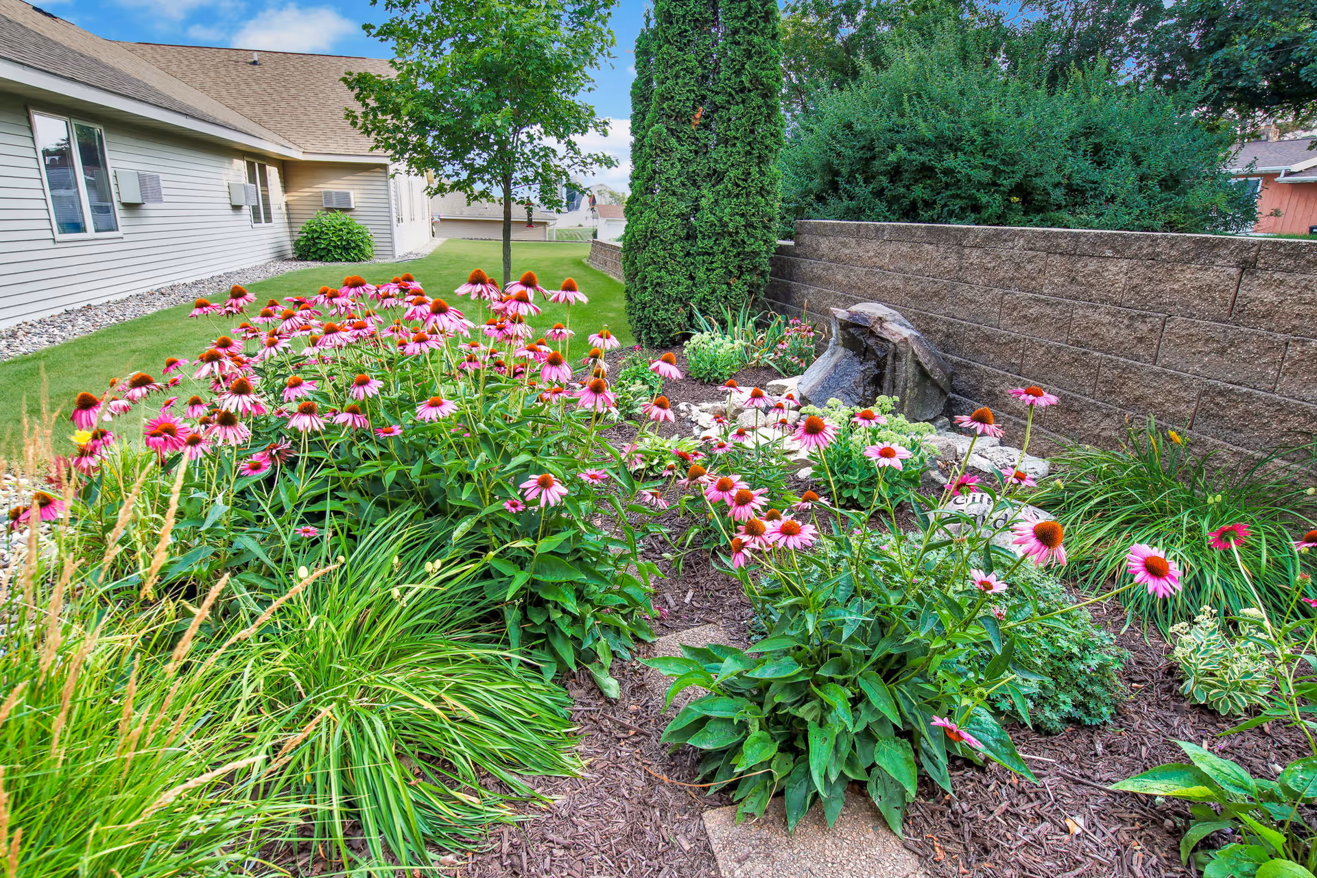 A landscaped outdoor garden with pink coneflowers, a stone water feature, lawn and the side of a beige building.