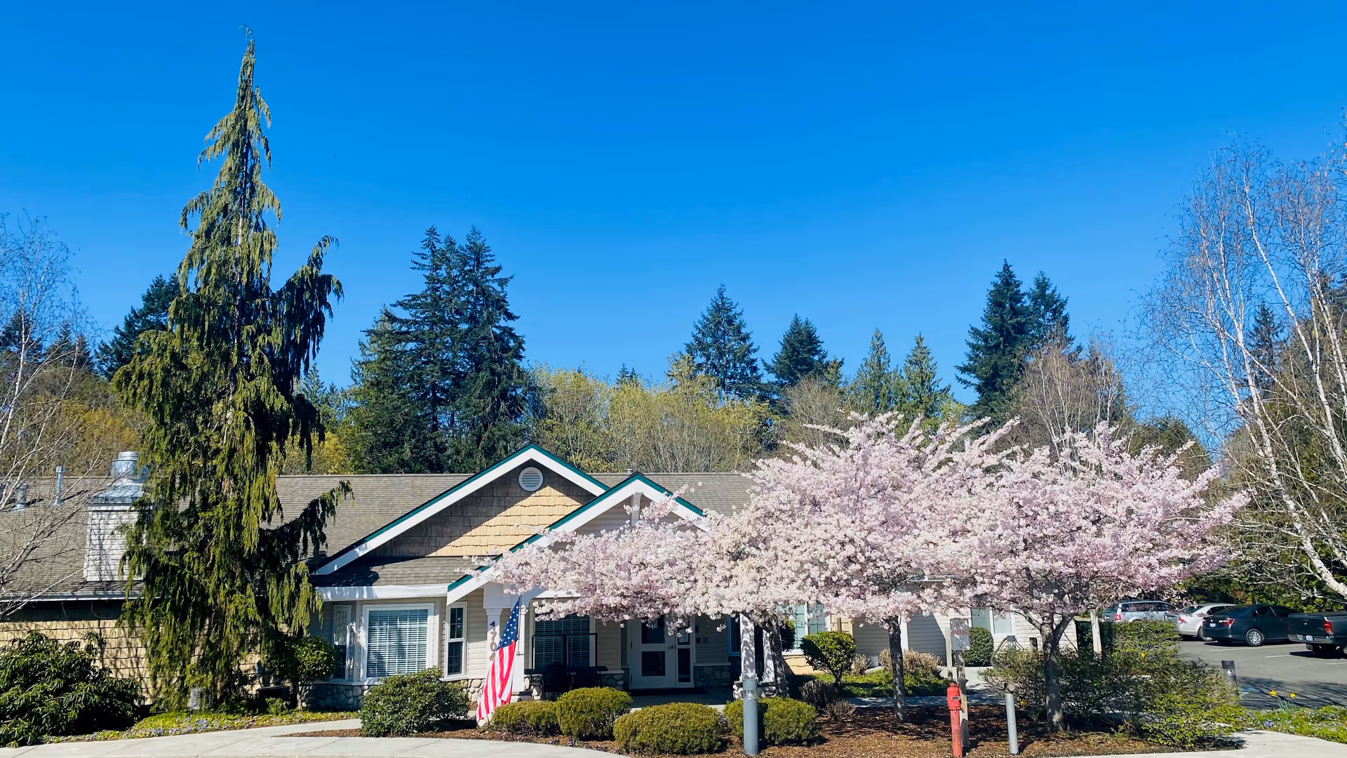 Single-story memory care building front with blossoming pink trees, an American flag, and surrounding evergreens under a clear blue sky.