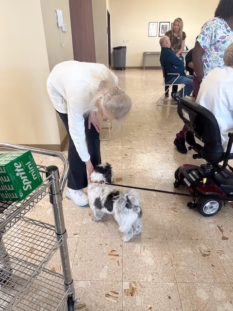 An elderly woman bends down to pet a small black and white dog inside a senior living facility. In the background, several people are seated and engaged in conversation in a common area with beige walls and tiled floor.