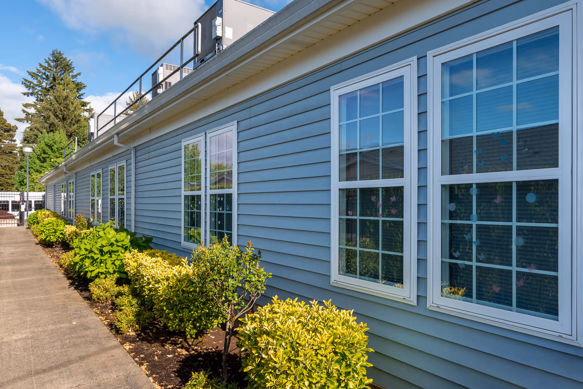 Side exterior of a single-story building with blue siding, white-framed windows and a landscaped walkway with shrubs.