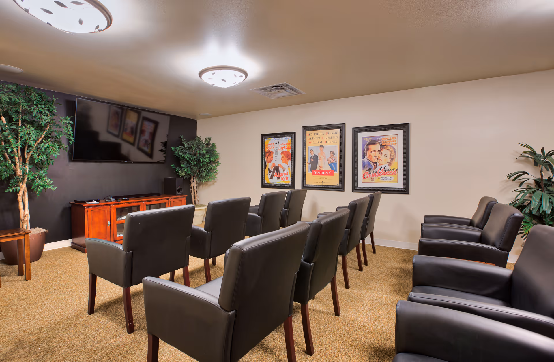 A small theater-style room with two rows of black leather chairs facing a large flat-screen TV mounted on a dark accent wall. The room has beige walls, carpeted floor, framed vintage movie posters on one wall, and potted plants in the corners.