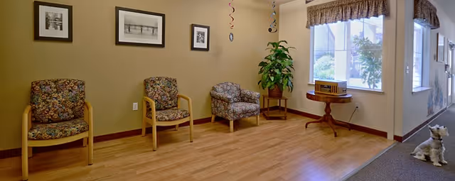 A waiting area with three floral-patterned chairs along a beige wall decorated with three black-and-white framed pictures. A small wooden table with a vintage radio and a potted plant is placed near a window with a valance. A small dog is sitting on the carpeted floor near the hallway.