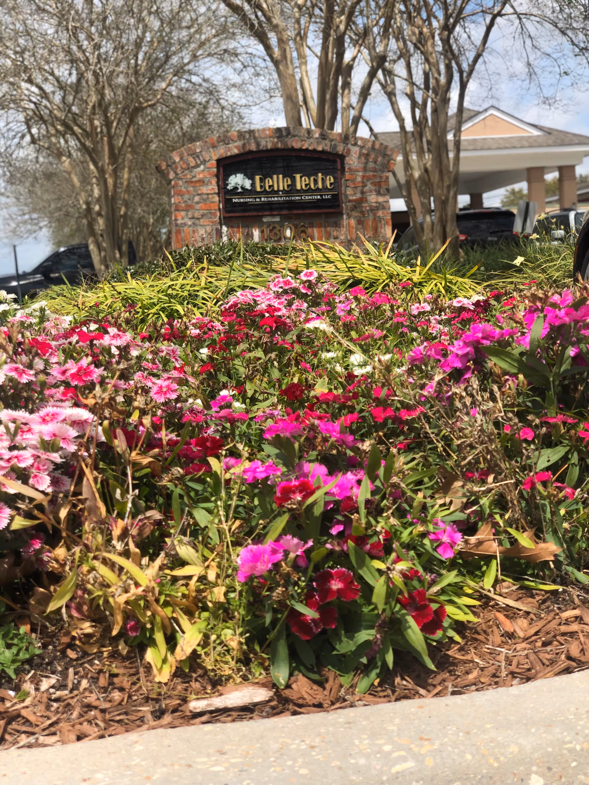 A landscaped garden area with vibrant pink, red, and white flowers in front of a brick sign that reads 'Belle Teche Nursing & Rehabilitation Center, LLC'. Trees and part of a building with a covered entrance are visible in the background.