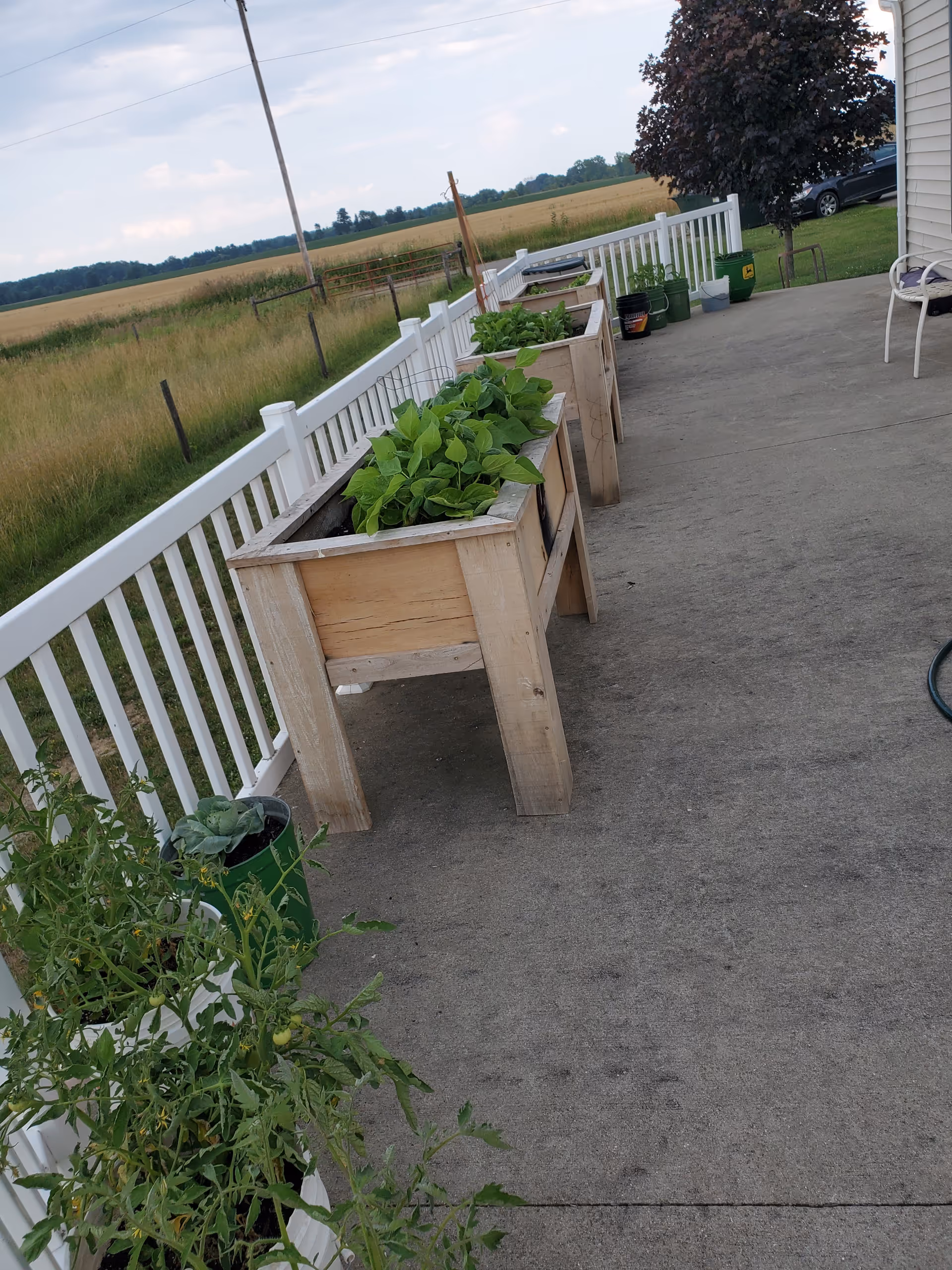 Outdoor patio area with raised wooden garden beds containing green plants. White railing runs along the edge of the patio, with a grassy field and trees visible in the background. Various gardening pots and supplies are placed near the garden beds and along the patio.