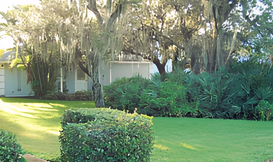 A well-maintained outdoor garden area with neatly trimmed bushes and lush green grass. Large trees with hanging moss provide shade, and a white building is partially visible in the background.