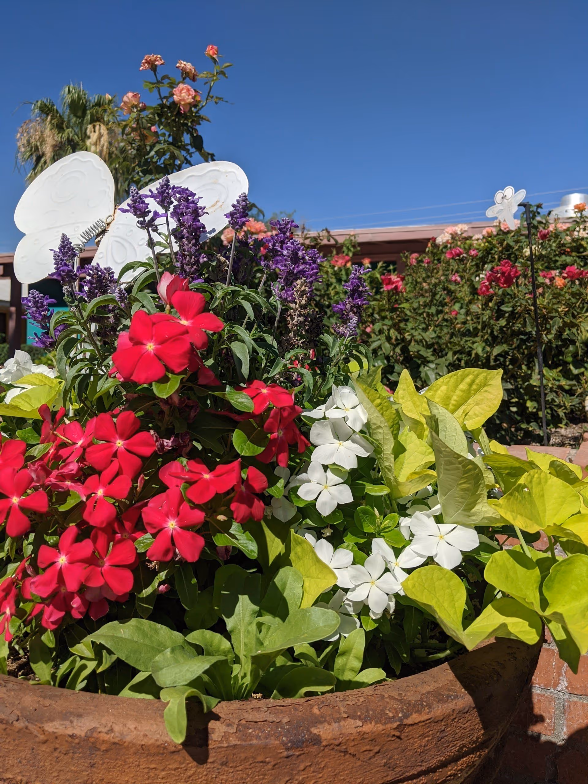 A large terracotta planter filled with vibrant flowers including red, white, and purple blooms, along with green foliage. There are decorative white butterfly garden stakes placed among the flowers. In the background, there are more flowering plants and a clear blue sky.