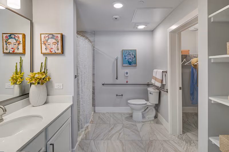 Accessible bathroom with a vanity and mirror, walk-in shower with curtain, grab bars, and a toilet next to a closet.