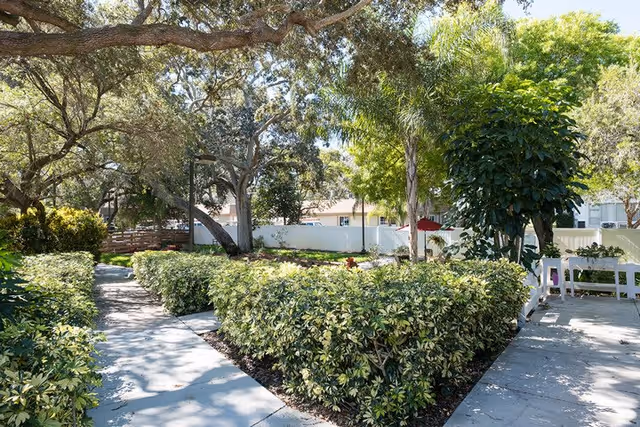 Outdoor garden area with paved walkways bordered by green shrubs and trees, under a clear sky with sunlight filtering through the branches.