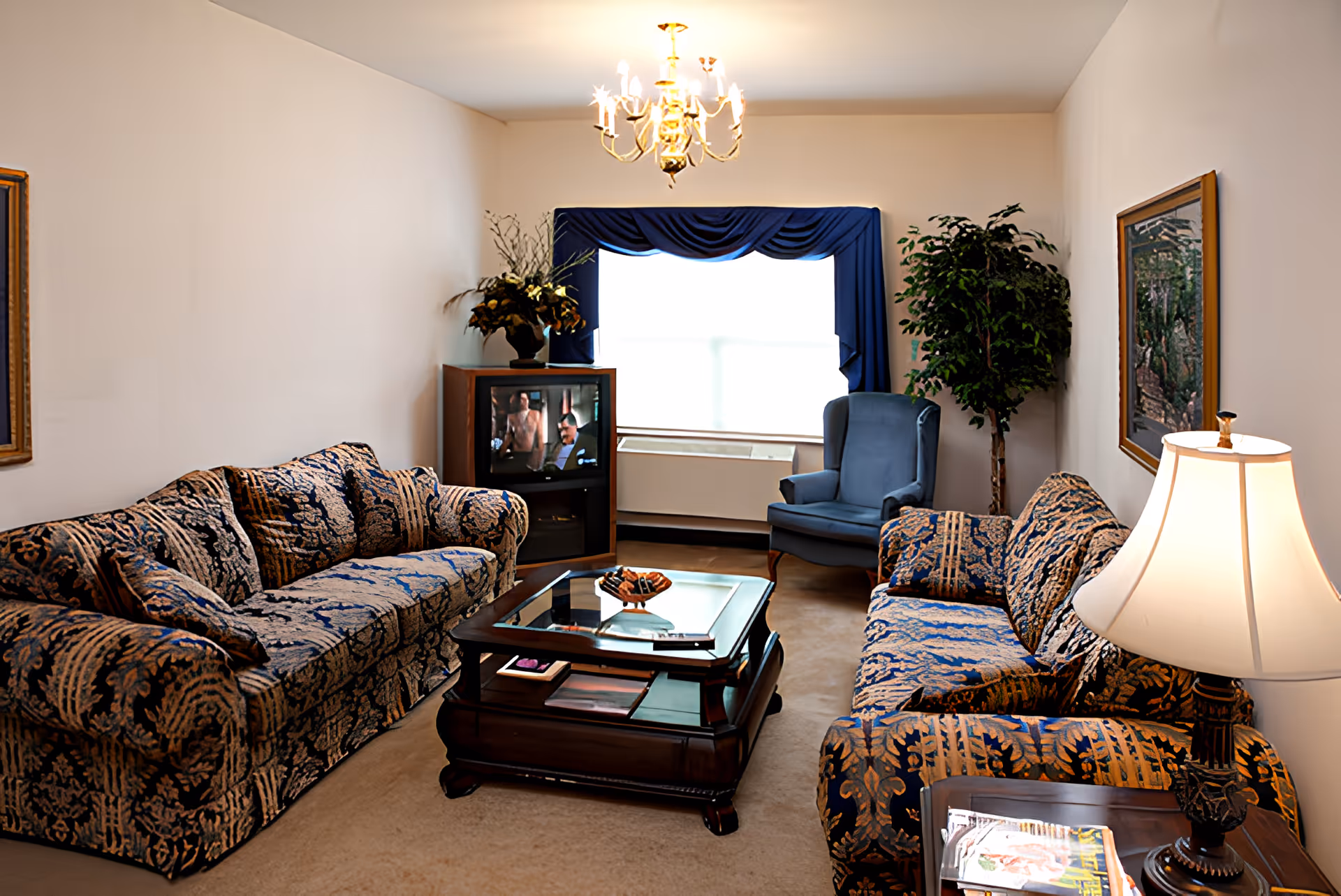A cozy living room with two patterned sofas facing each other, a glass-top wooden coffee table in the center, a blue armchair near a window with blue curtains, a TV on a wooden stand, a potted plant, a table lamp, and framed artwork on the walls.