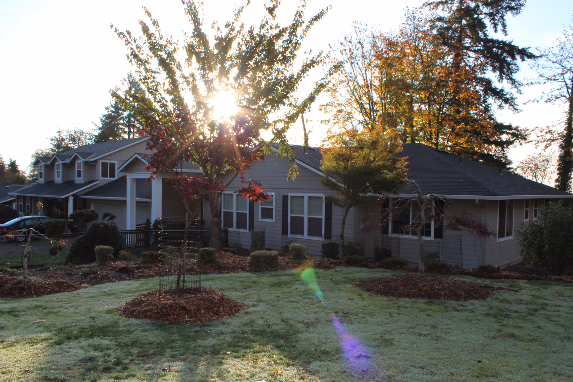 Front exterior of a one-story elder care home with a lawn, young trees, and sunlight peeking through the trees.