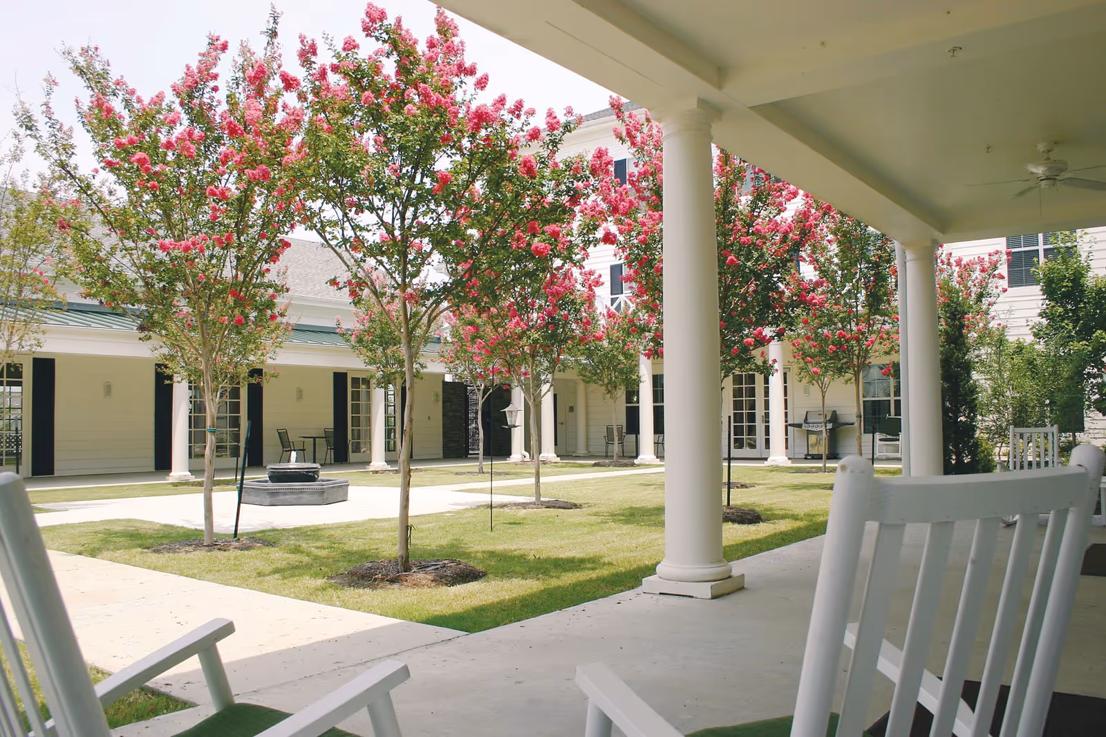 View of a courtyard at Prestonwood Court with blooming pink flowering trees, green grass, white columns supporting a covered walkway, and white rocking chairs on the patio.