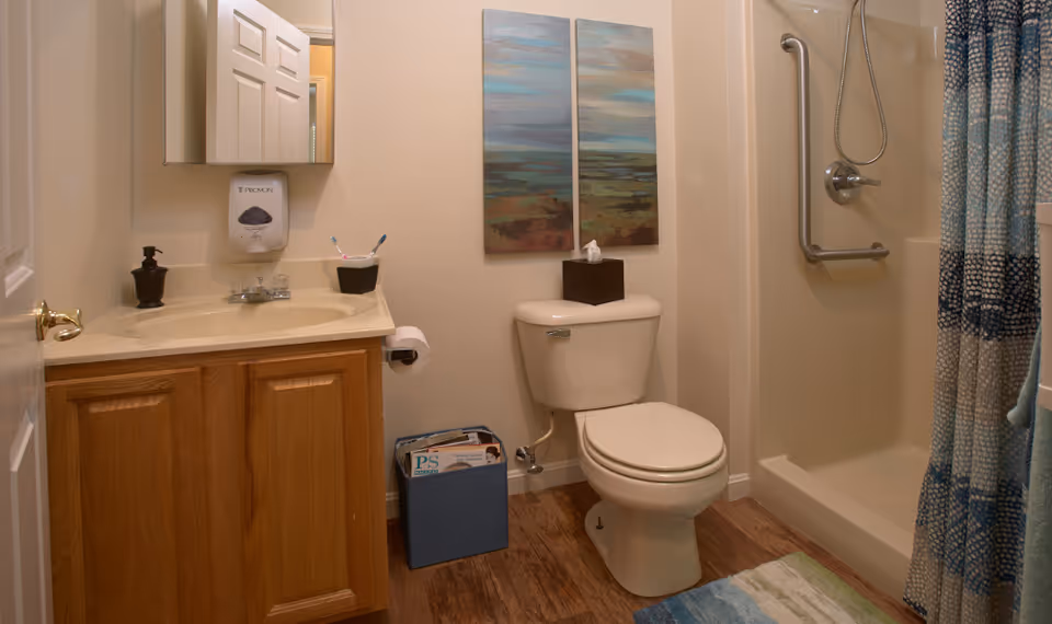 A bathroom with a wooden vanity cabinet, beige countertop, and a mirror above. There is a soap dispenser and toothbrush holder on the counter. A toilet with a tissue box on top is next to the vanity. Above the toilet are two abstract landscape paintings. To the right is a shower with a grab bar and a blue patterned shower curtain. The floor is wood-style, and there is a blue and green bath mat in front of the shower.