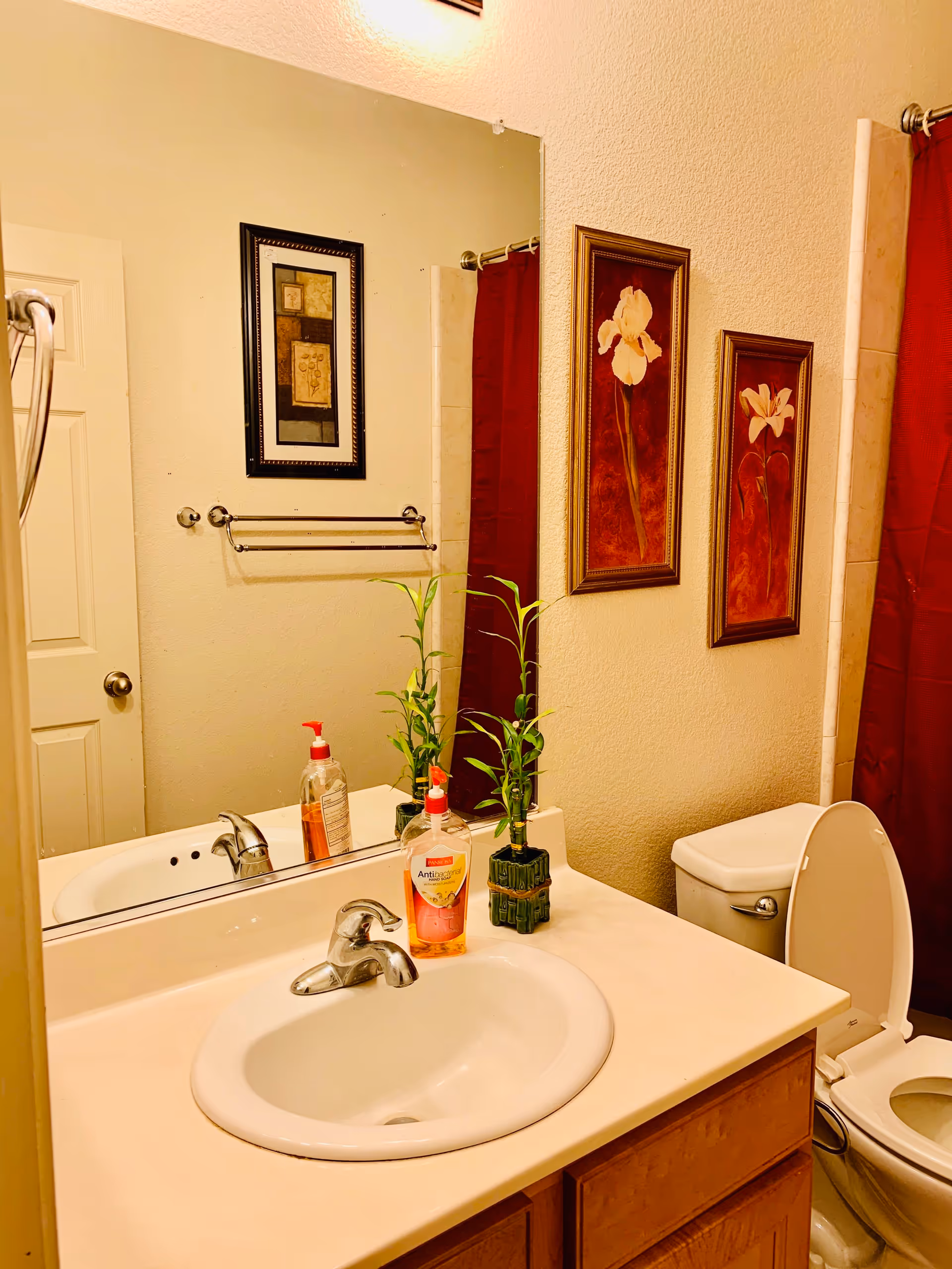 Bathroom vanity with a sink and faucet, hand soap and a small potted plant on the counter, mirror reflecting framed floral art and a toilet beside a red shower curtain.