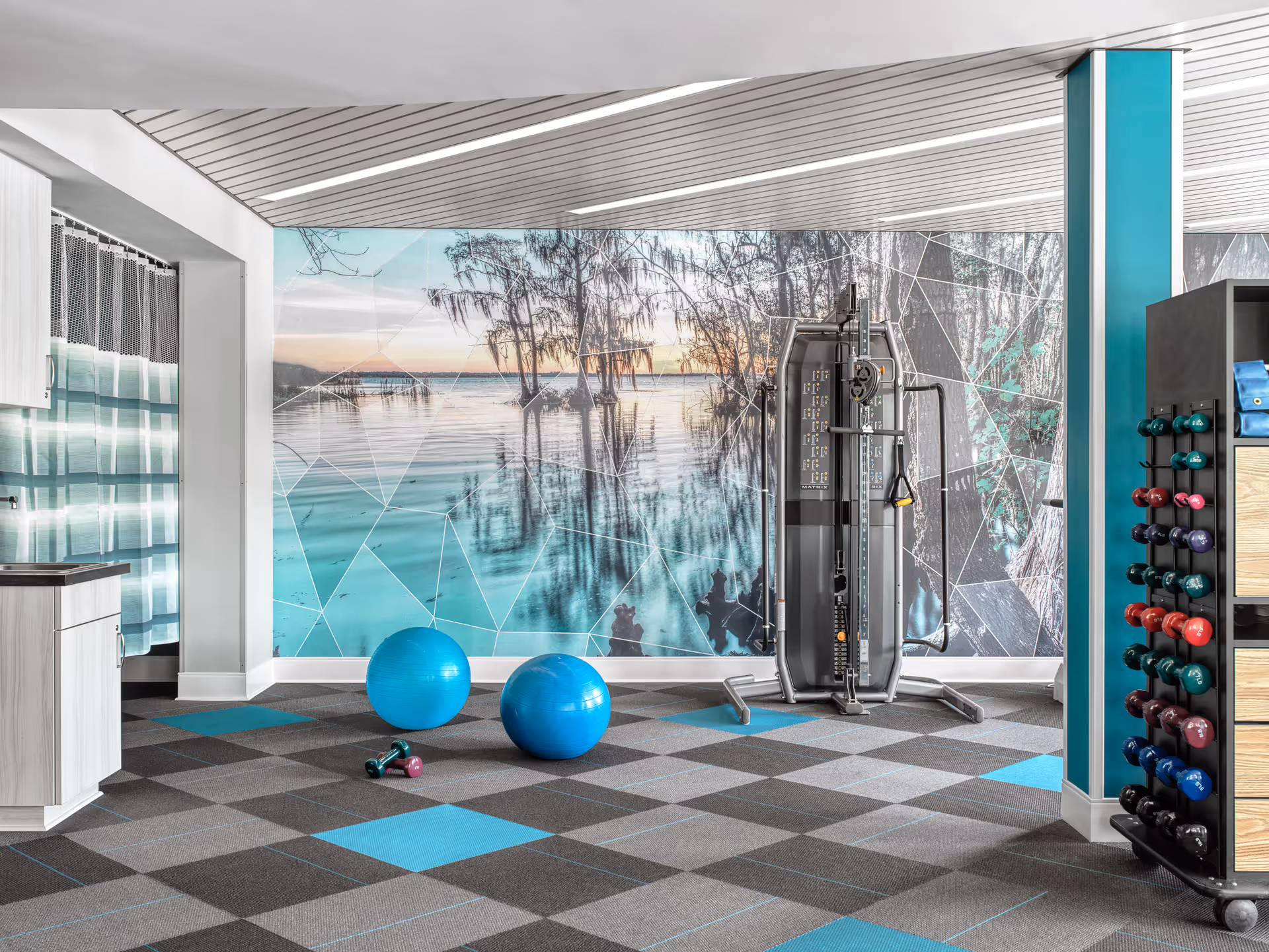 A modern fitness room with a large wall mural depicting a serene lake scene with trees at sunset. The room features two blue exercise balls, a set of colorful dumbbells on a rack, and a multi-functional exercise machine. The floor is carpeted with a checkered pattern in shades of gray and blue, and the ceiling has white slats with integrated lighting.