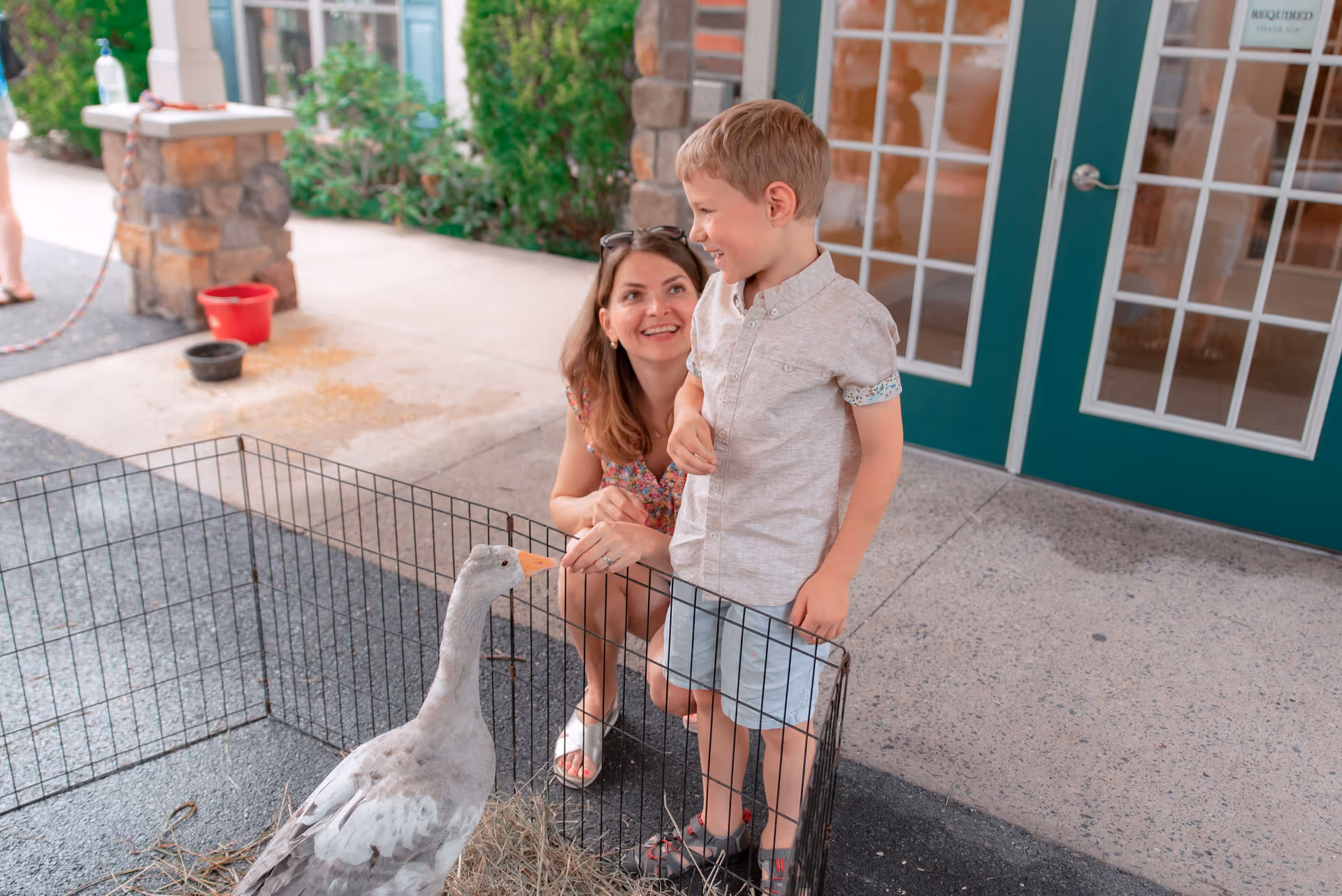 A woman crouching and smiling at a young boy who is standing next to a small fenced area containing a goose. They are outside near a building with green double doors and windows.