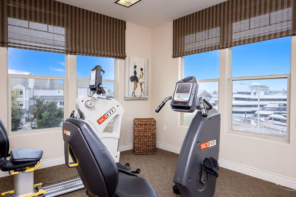 A small exercise room with two SciFit exercise machines positioned near windows that offer views of nearby buildings and a marina with boats. The room has beige walls, brown striped window shades, a wicker basket in the corner, and a painting of two ballerinas on the wall.