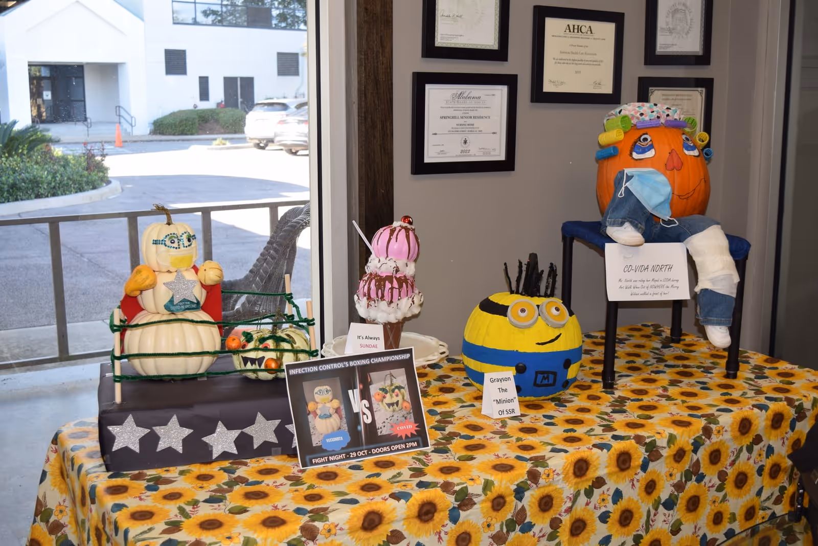 A table covered with a sunflower-patterned tablecloth displays decorated pumpkins themed around COVID-19 vaccination and infection control. One pumpkin is styled as a boxer with a mask and gloves, another as a minion character, and a third pumpkin with hair curlers and a mask sits on a small chair with a bandaged leg. Certificates are framed and hung on the wall behind the display, and a window shows an outdoor parking area.