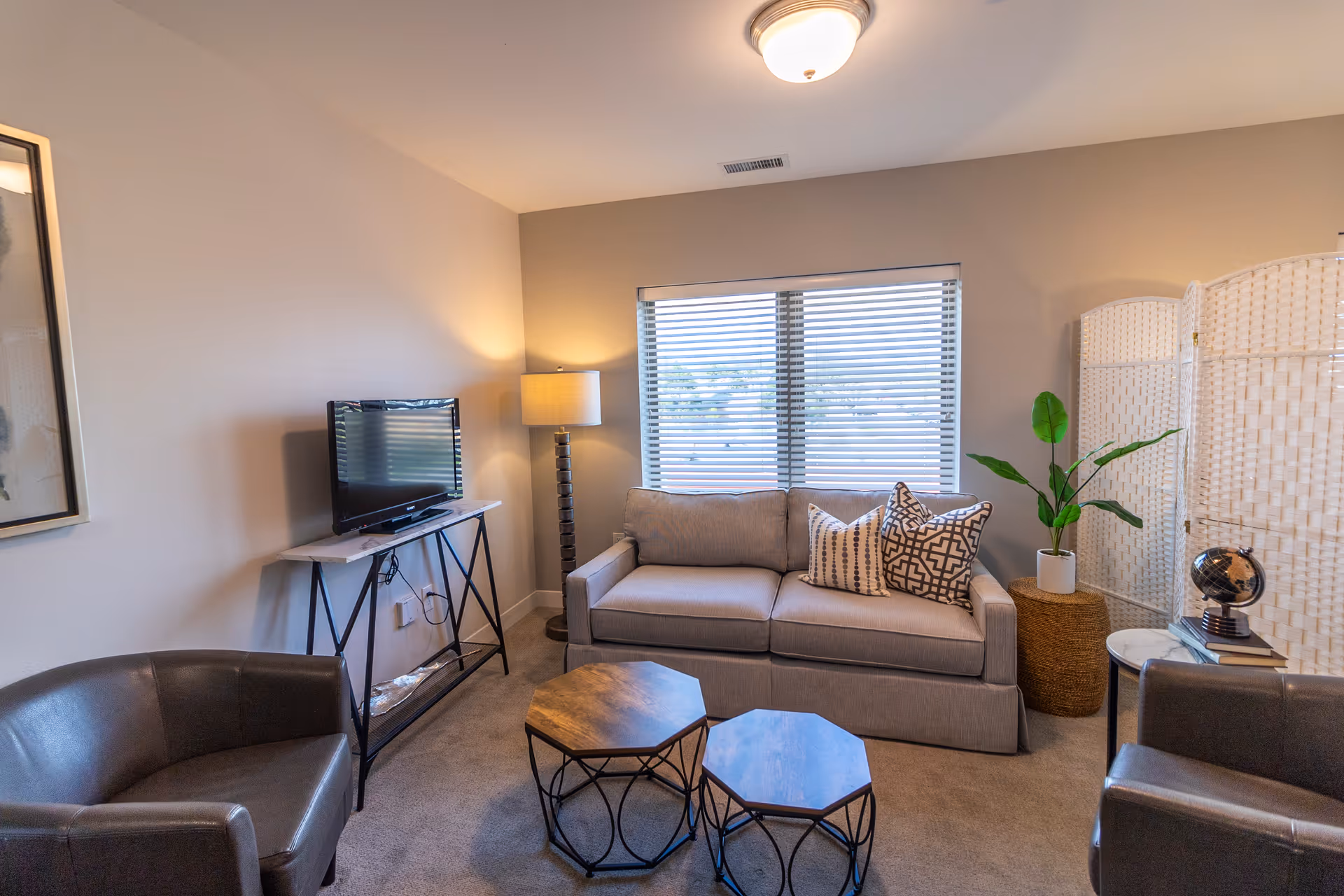 A cozy living room with a gray sofa adorned with patterned pillows, two dark brown leather armchairs, and two wooden hexagonal coffee tables with black metal bases. A flat-screen TV sits on a narrow console table against the wall, next to a tall floor lamp. A window with blinds lets in natural light, and a decorative plant and a globe on a small side table add accents to the room. A white woven room divider is positioned in the corner.
