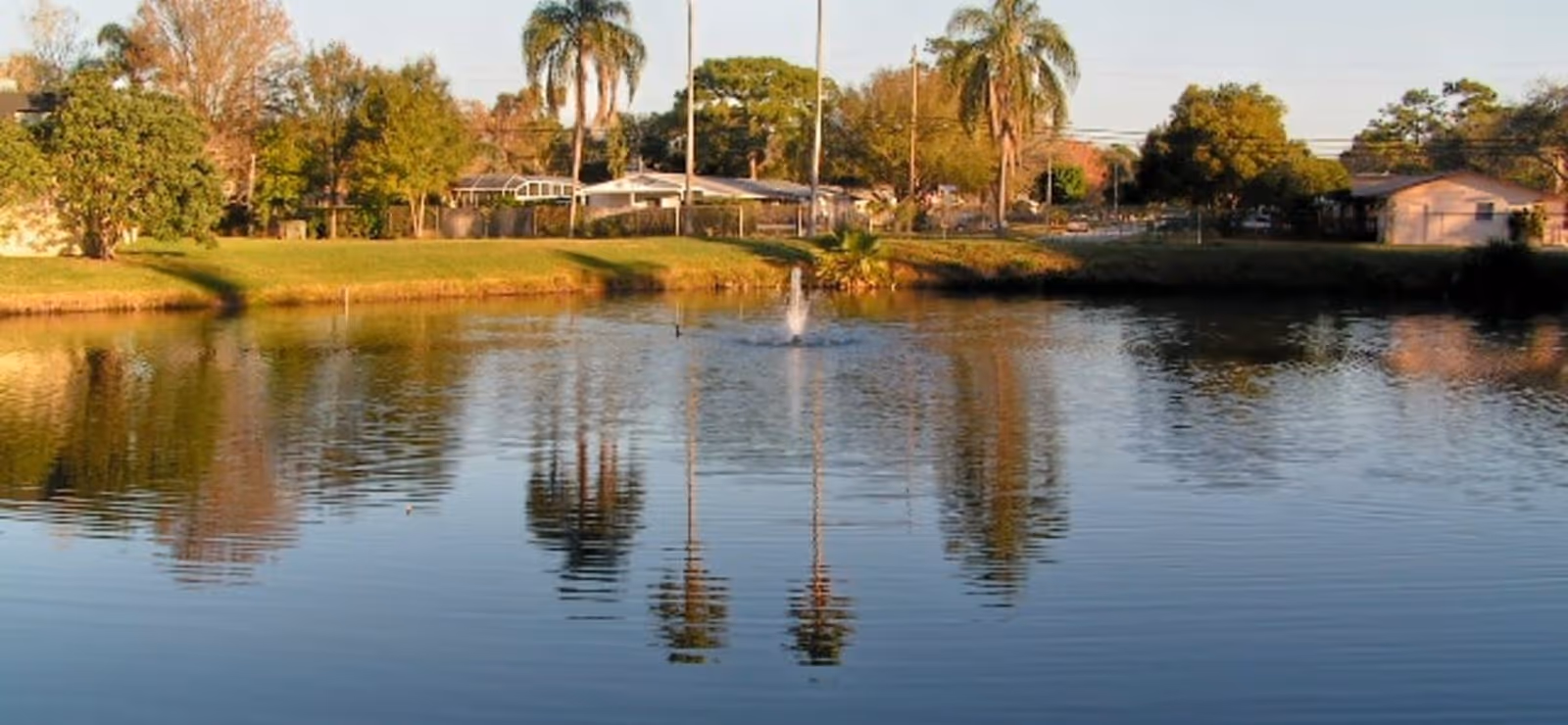 A serene pond with a small fountain in the center, surrounded by green grass, palm trees, and other trees. Residential houses are visible in the background under a clear sky.