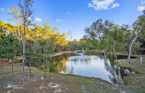 A serene outdoor scene featuring a small pond surrounded by trees with green and yellow foliage under a blue sky with scattered clouds.