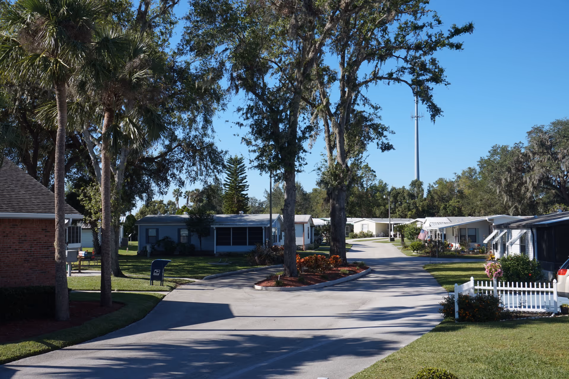 A tree-lined paved road through Oak Hammock Retirement Community with single-story homes, palm trees, and manicured lawns under a clear blue sky.