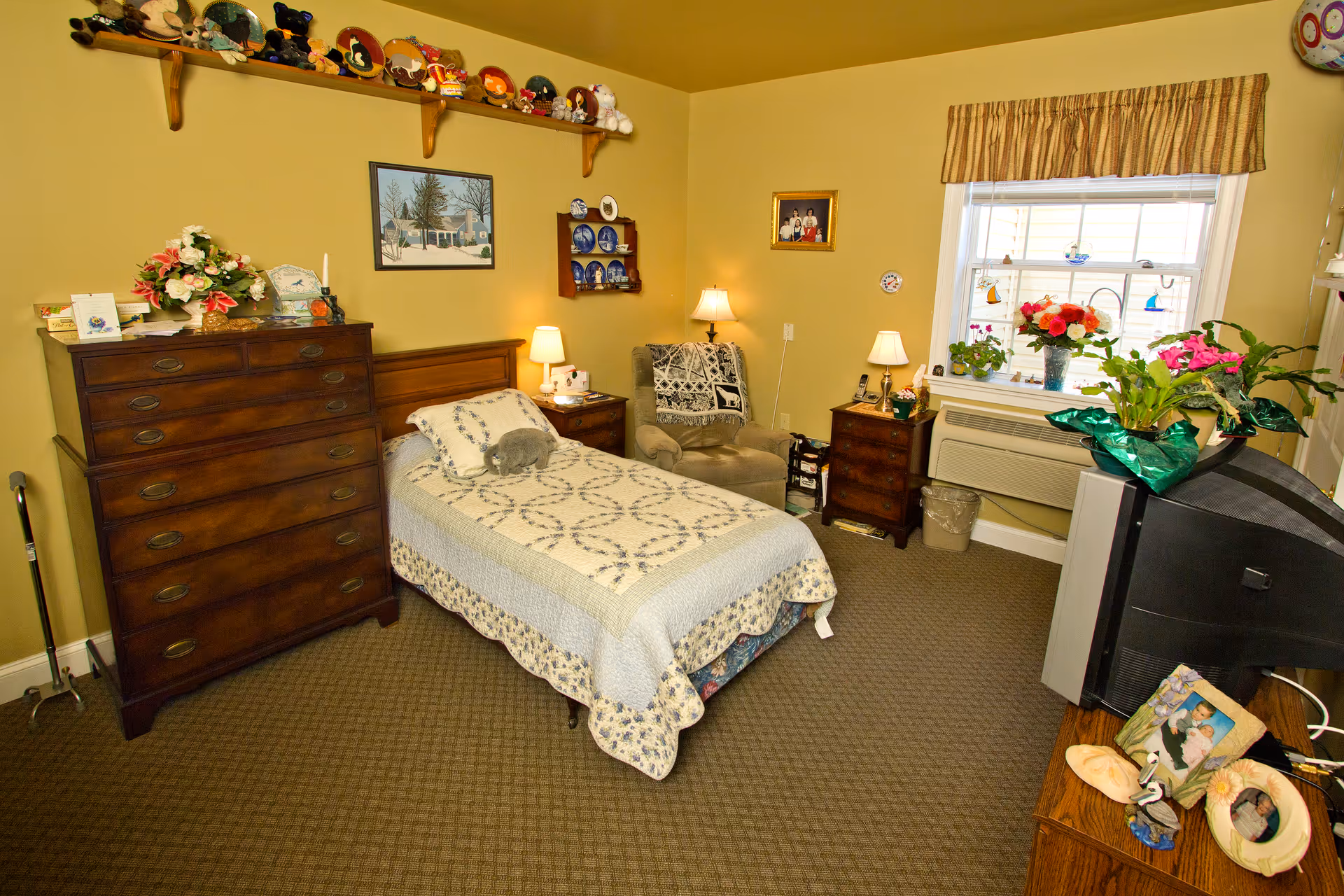 A cozy assisted-living bedroom with a single bed, wooden dresser and nightstands, an armchair, TV, and a window with potted plants.