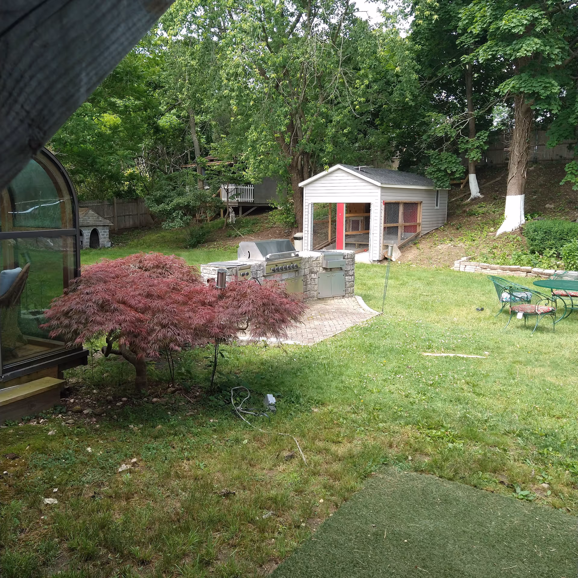 Outdoor garden area with green grass, a small red-leafed tree, a built-in stainless steel grill and cooking station, a small white shed, and green metal patio furniture with cushions. Trees and a wooden fence surround the area.