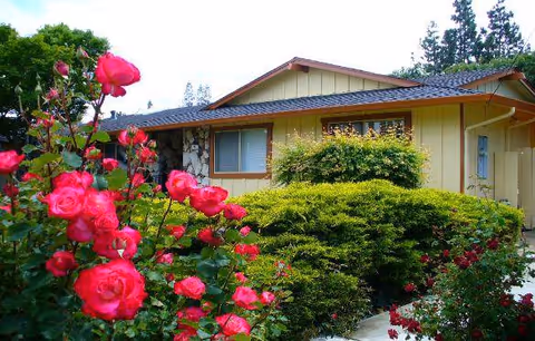 Single-story residence with yellow siding, front garden, and vibrant pink roses in foreground.