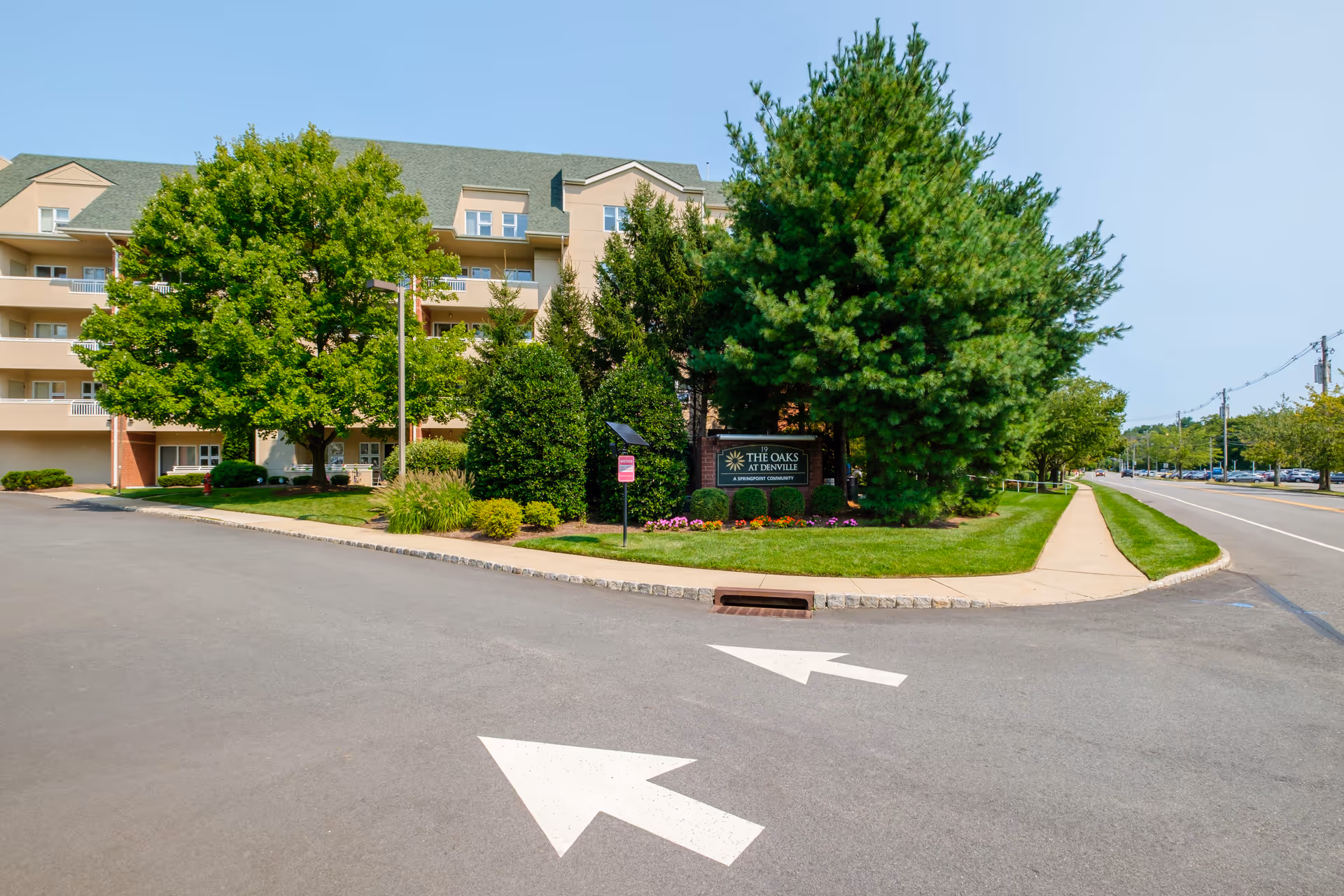 Exterior view of The Oaks At Denville senior living facility showing a multi-story building with balconies, surrounded by green trees and landscaped bushes. There is a sidewalk and a road with directional arrows painted on the asphalt. A sign near the entrance reads 'The Oaks At Denville, A Springpoint Community.'