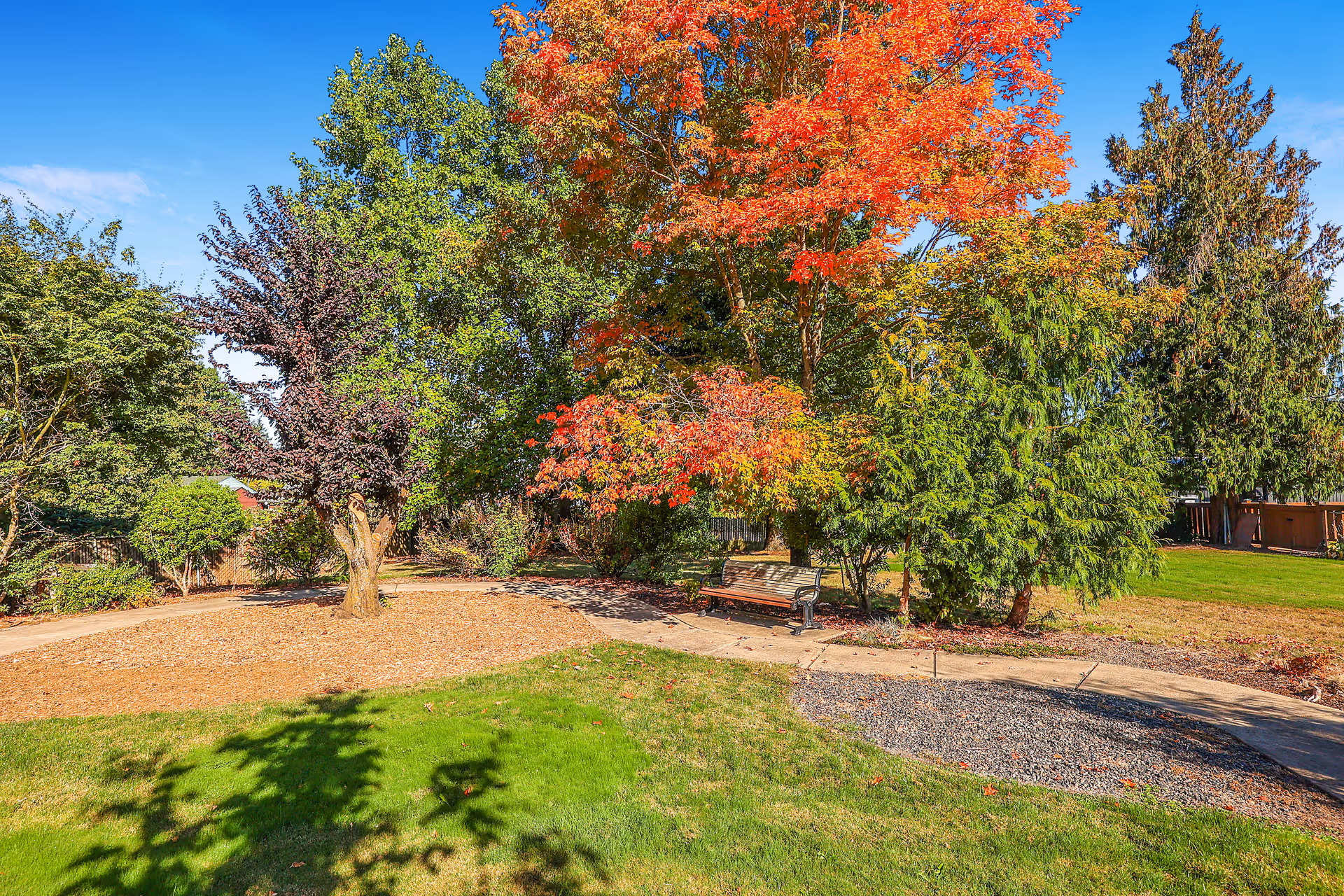 A peaceful outdoor garden area with a curved paved walkway, green grass, and various trees including one with bright red and orange autumn leaves. A wooden bench is placed along the path under the colorful tree, with a clear blue sky overhead.
