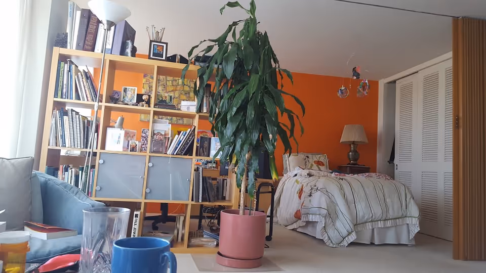 A cozy bedroom with an orange accent wall, a single bed with floral and striped bedding, a bedside table with a lamp, a large potted plant in the center, a wooden bookshelf filled with books and decorative items, a blue armchair, and a glass and blue mug on a table in the foreground.