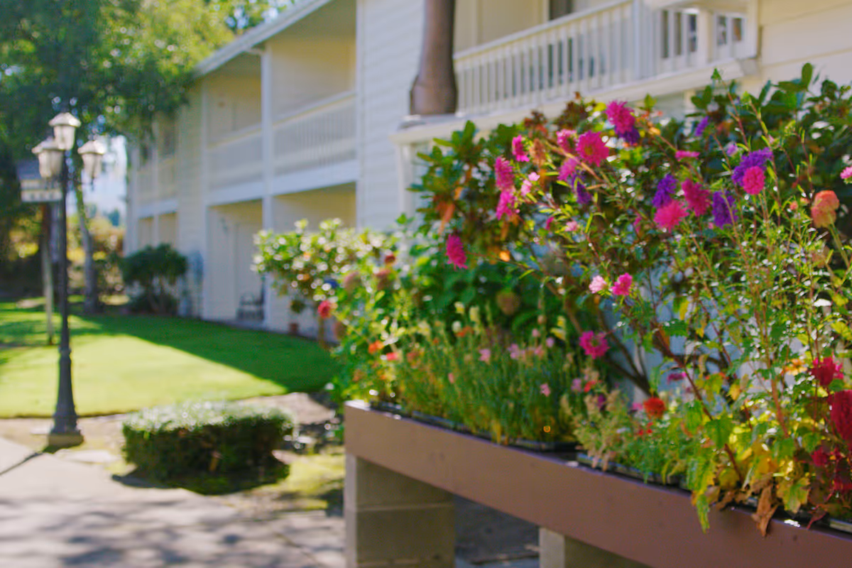 Outdoor garden area at Northridge Senior Living with colorful flowers in the foreground and a two-story white building with balconies in the background, along with a lamp post and green lawn.
