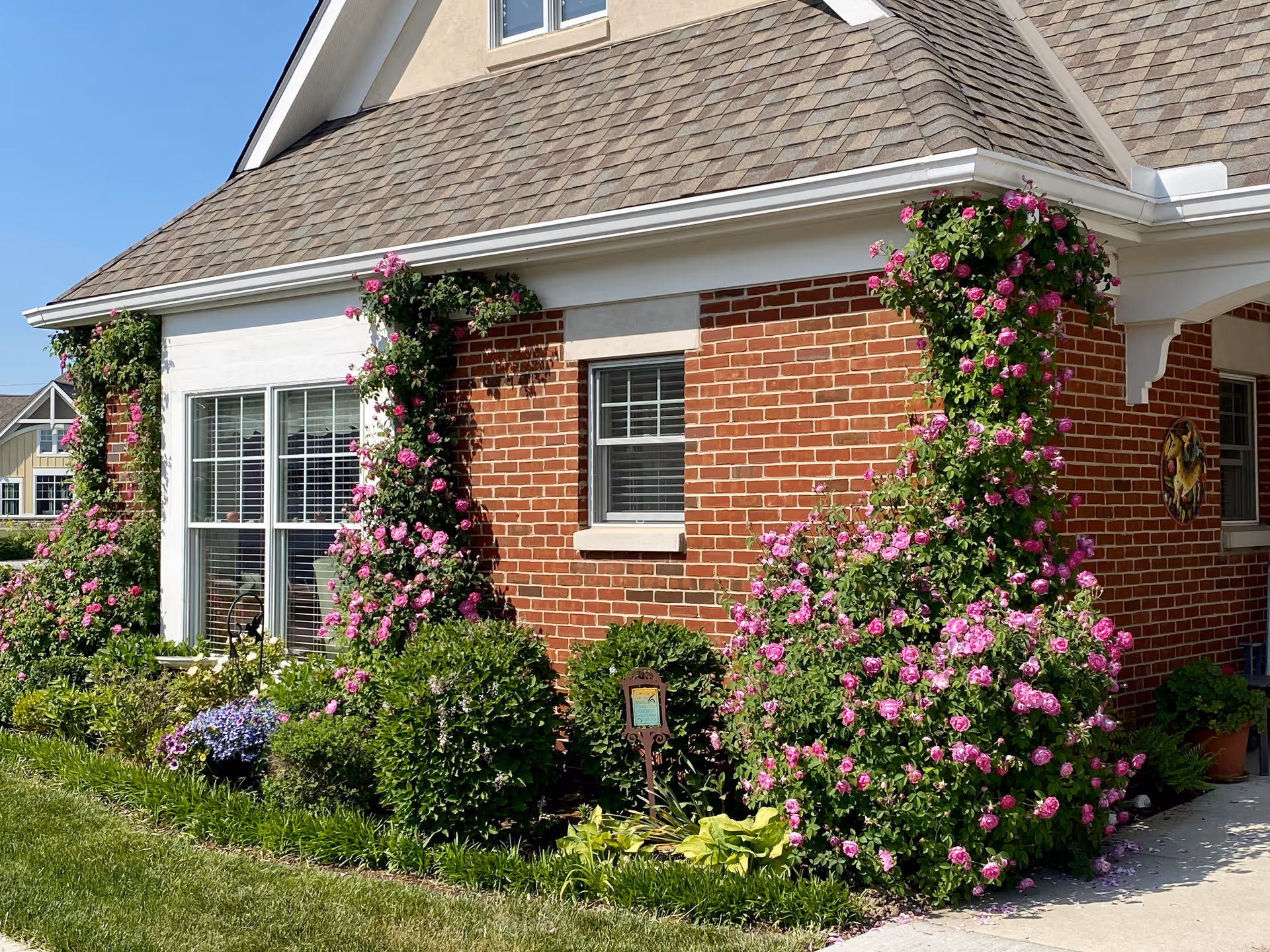 Exterior view of a brick building with a shingled roof, featuring windows with white frames and surrounded by lush green bushes and vibrant pink flowering plants climbing up the walls. The scene is set on a sunny day with a clear blue sky.