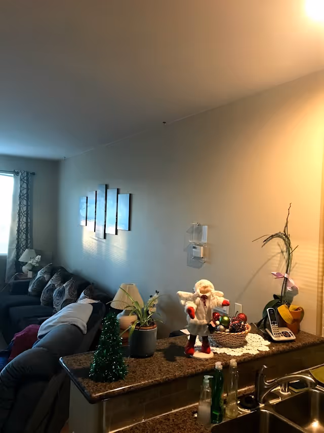 Open-plan living room and kitchen counter with a sofa, wall art, and holiday decorations on the countertop.