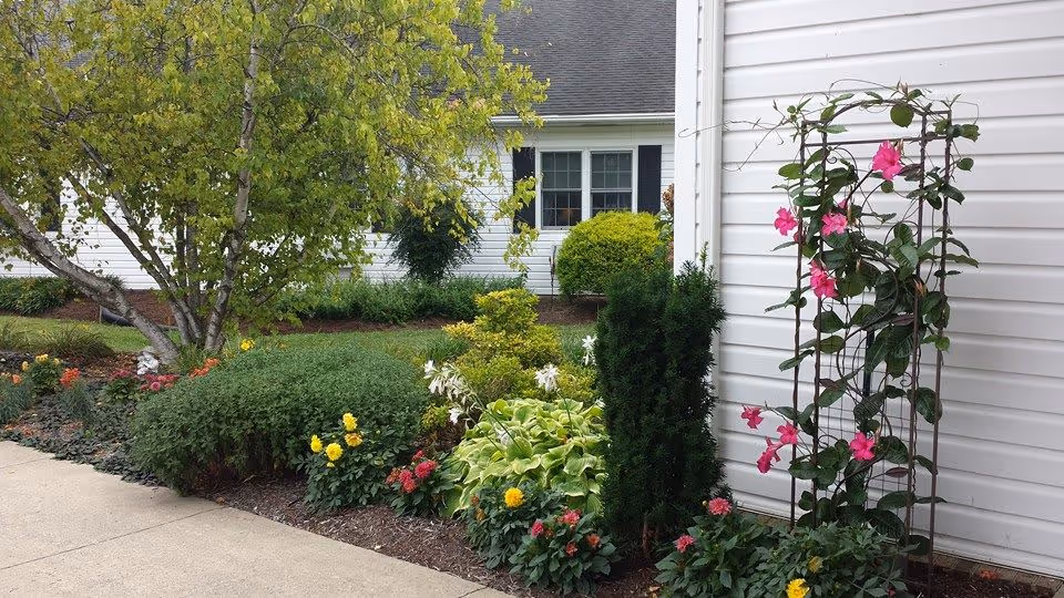 A landscaped garden area next to a white building with black window shutters. The garden features various green shrubs, flowering plants with yellow and pink blooms, and a small tree. A concrete walkway runs alongside the garden.