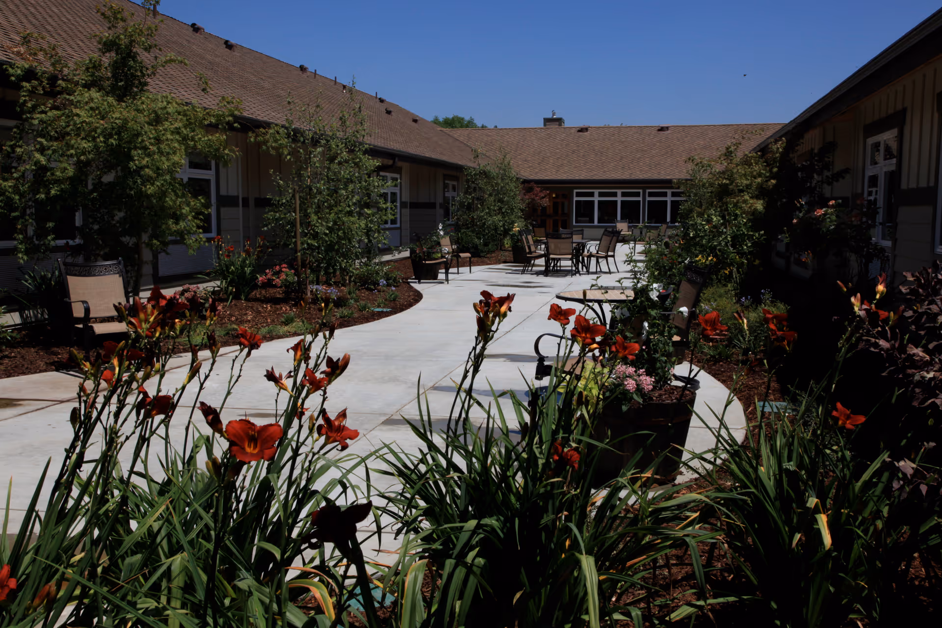 A sunny courtyard with red flowers, paved walkways, patio tables and chairs between single-story buildings.