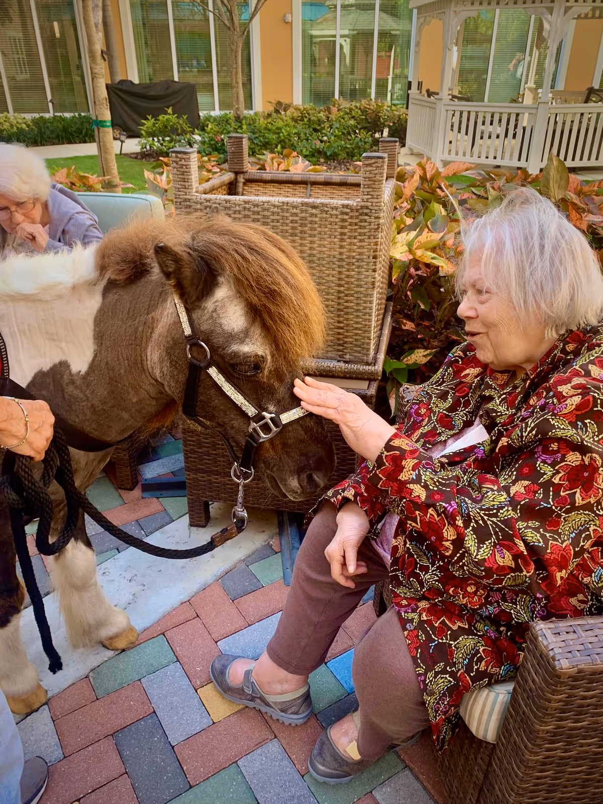 An elderly woman sitting on a wicker chair outdoors gently pets a small brown and white pony. Another elderly woman is partially visible in the background. The setting includes colorful brick paving, plants, and a white gazebo.