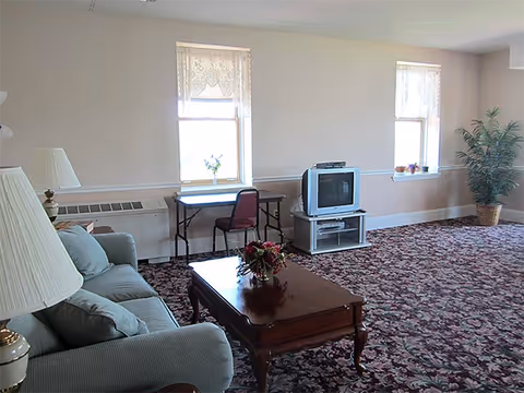 A living room with a patterned carpet, a light blue sofa with cushions, a wooden coffee table with a floral centerpiece, a TV on a stand, a small desk with a chair, two windows with lace curtains, and a potted plant in the corner.