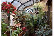 A sunlit glass-enclosed conservatory filled with many potted and hanging plants.