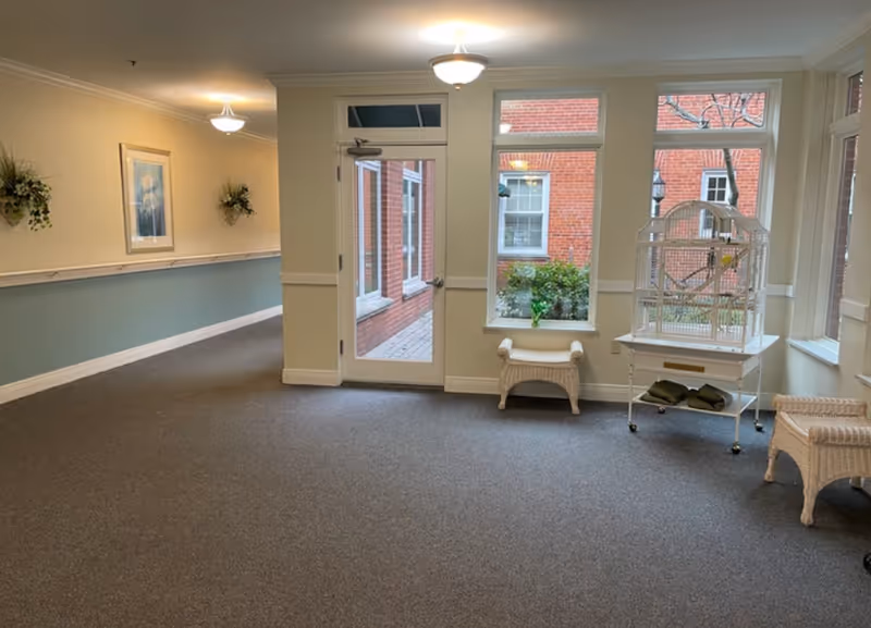 A quiet interior hallway area with beige walls and blue wainscoting, carpeted floor, a glass door leading outside, large windows showing a brick exterior, two wicker chairs, a wicker bench, and a white birdcage on a small table.
