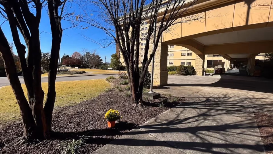 Outdoor view of a nursing and rehabilitation center showing a paved walkway with shadows of leafless trees, a small flower pot with yellow flowers, landscaped garden beds, and a multi-story building with a covered entrance area under a clear blue sky.