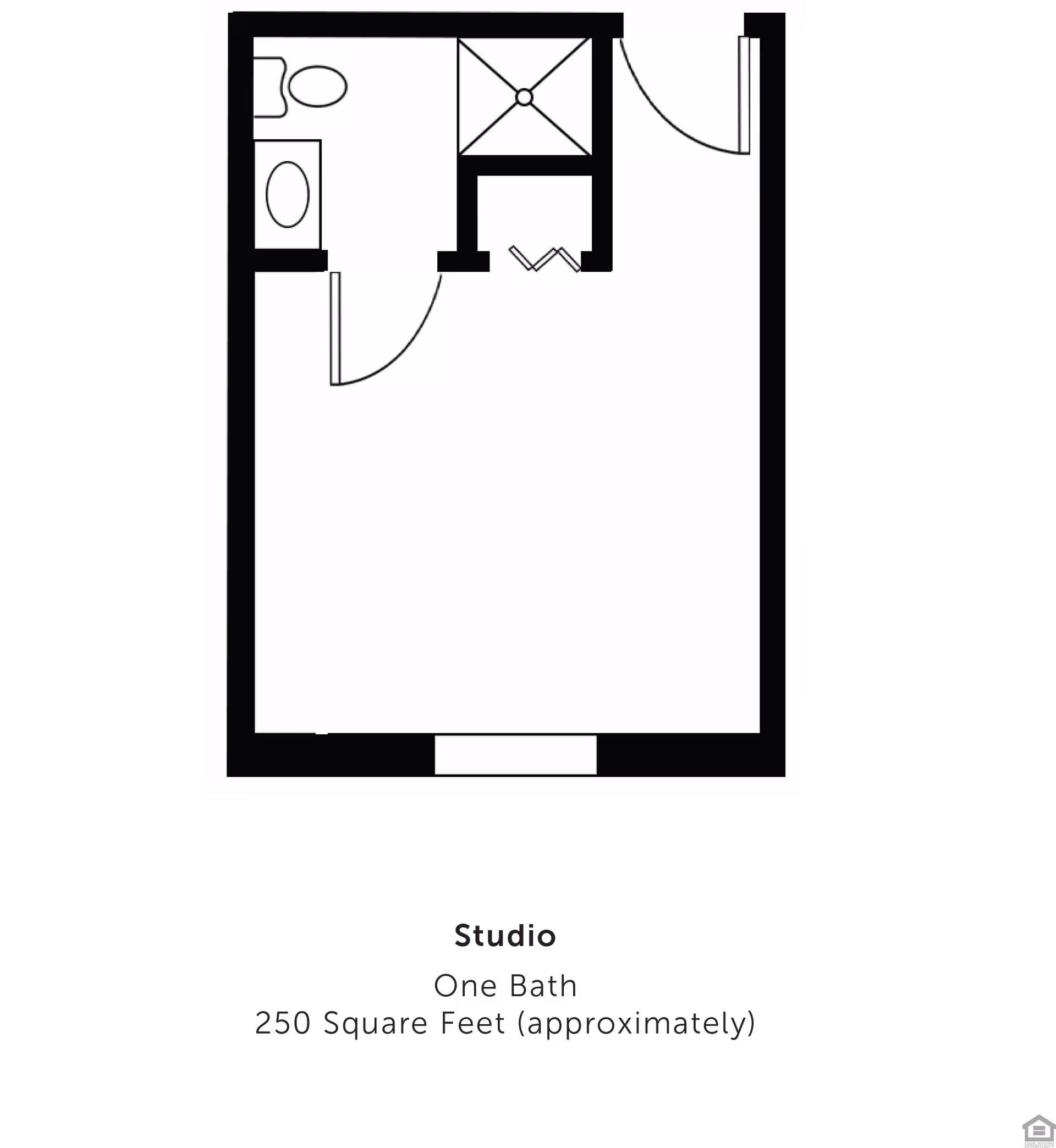 Floor plan of a studio apartment with one bathroom, approximately 250 square feet. The layout shows a main living area, a bathroom with a toilet and sink, and a shower area. The entrance door is located at the top right corner.