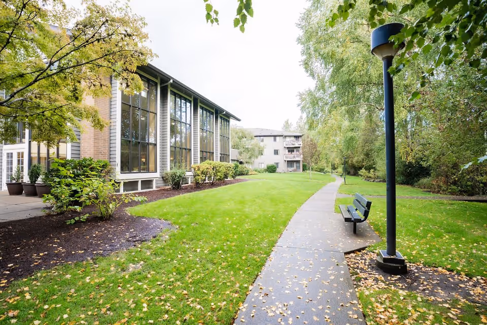 A paved walkway curves through a green lawn with scattered fallen leaves, bordered by trees and shrubs. On the left side, there is a building with large windows and brick and siding exterior. A black bench and a tall streetlamp are positioned along the walkway. In the background, another building with balconies is visible.
